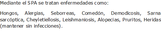 Documento de Word 2007