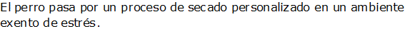 Documento de Word 2007