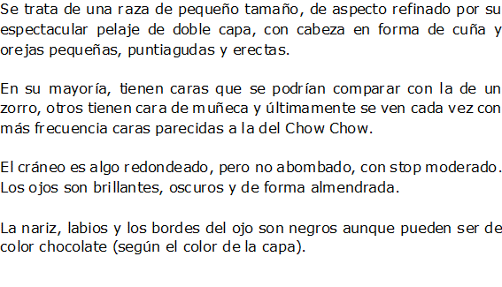 Documento de Word 2007