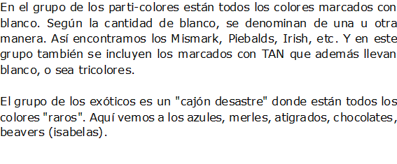 Documento de Word 2007