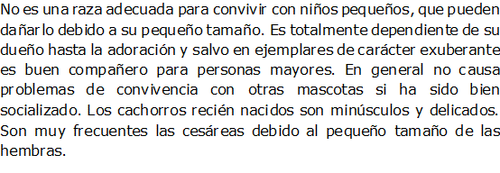 Documento de Word 2007