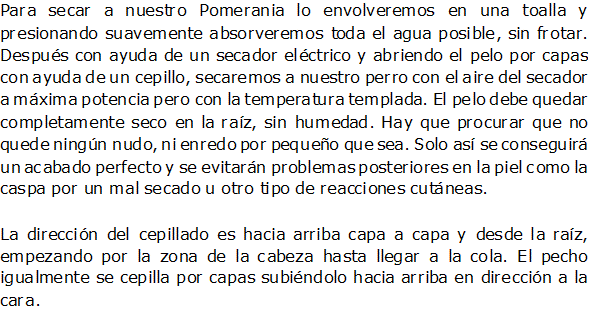 Documento de Word 2007