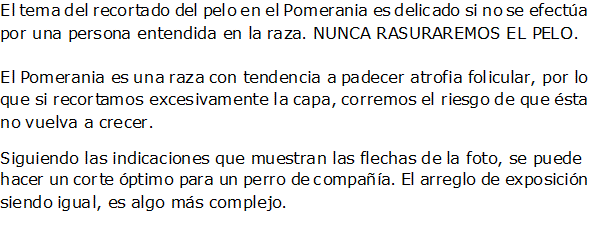 Documento de Word 2007