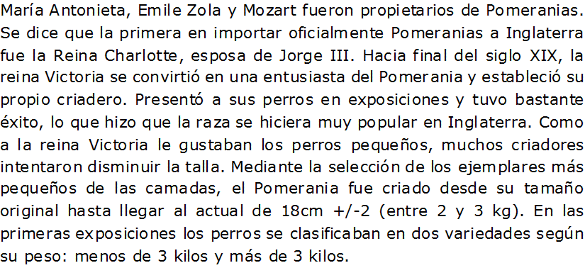 Documento de Microsoft Office Word