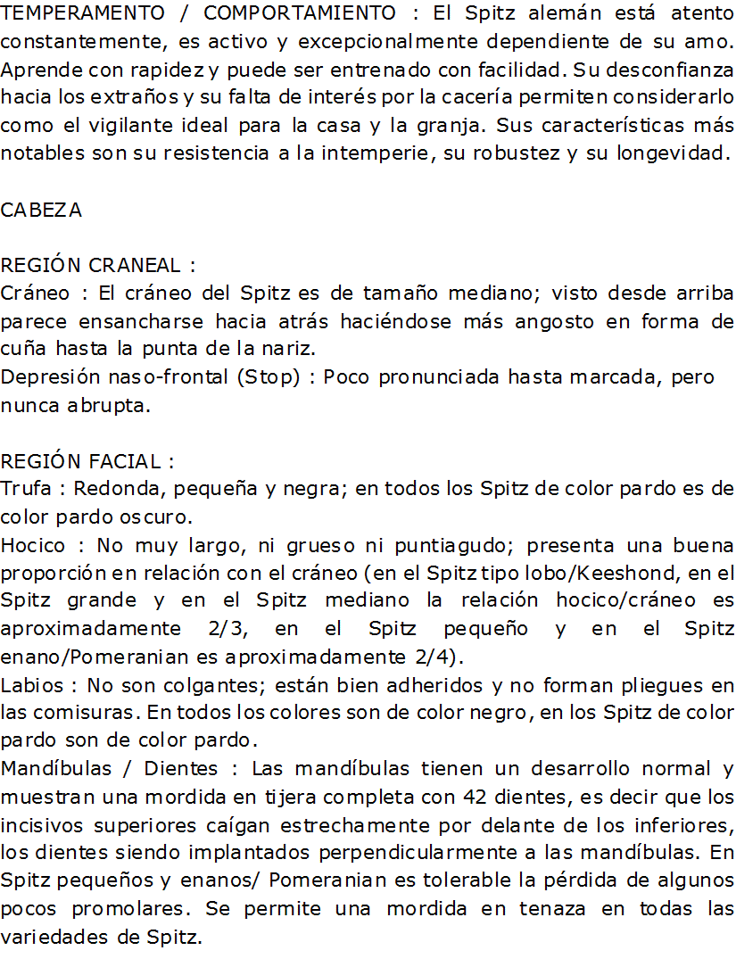 Documento de Word 2007