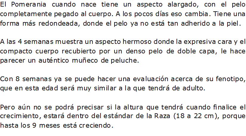 Documento de Word 2007
