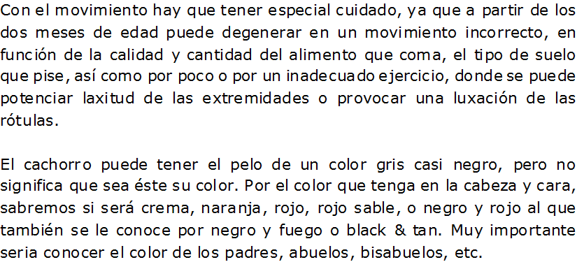 Documento de Word 2007