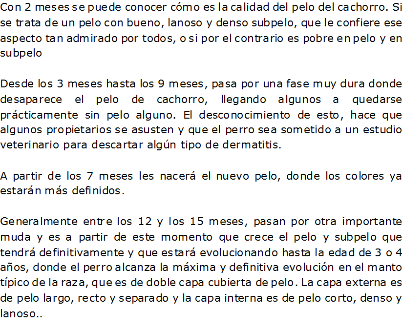 Documento de Word 2007