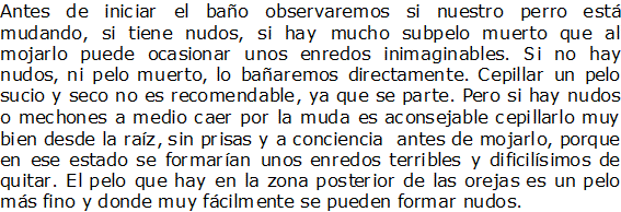Documento de Microsoft Office Word