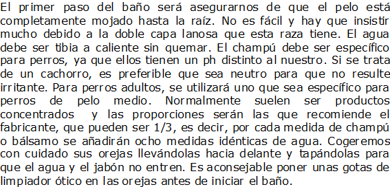 Documento de Microsoft Office Word
