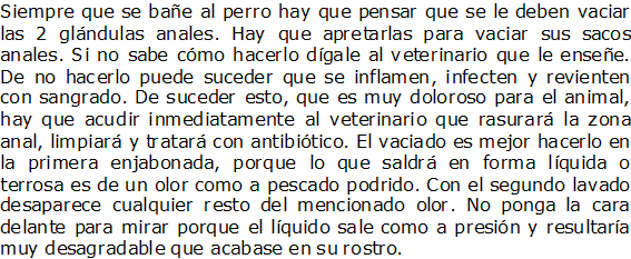 Documento de Microsoft Office Word
