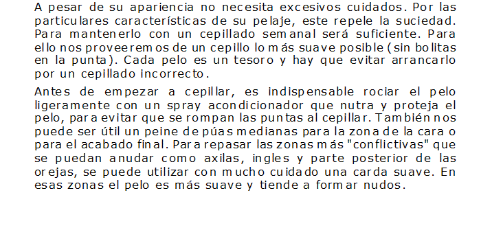 Documento de Microsoft Office Word